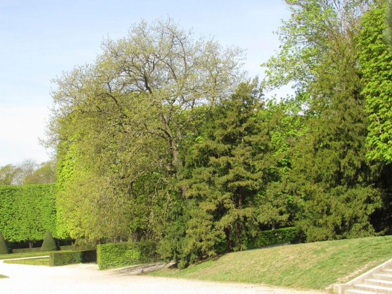 Париж, Париж, Париж или сбывшиеся мечты мамы и дочи