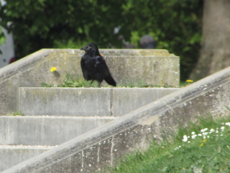 Париж, Париж, Париж или сбывшиеся мечты мамы и дочи