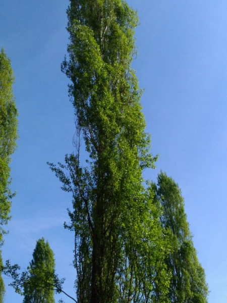 Париж, Париж, Париж или сбывшиеся мечты мамы и дочи