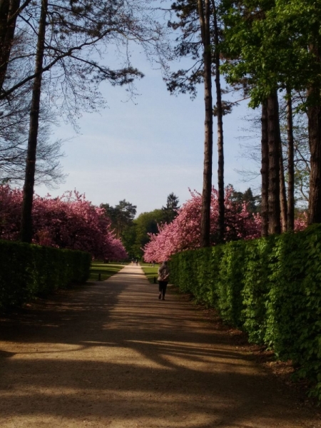 Париж, Париж, Париж или сбывшиеся мечты мамы и дочи