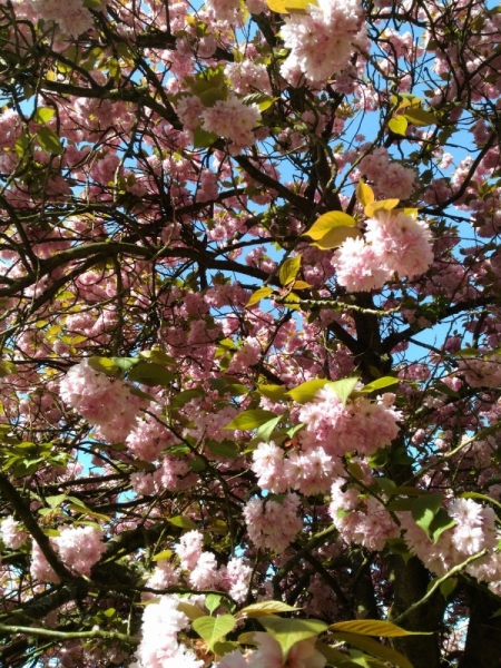 Париж, Париж, Париж или сбывшиеся мечты мамы и дочи