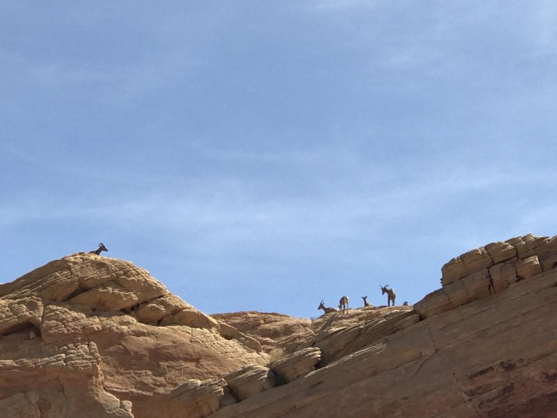 Большие города . Запад и Восток США