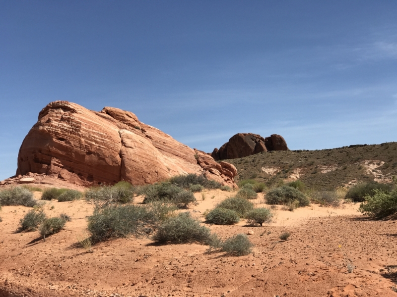 Большие города . Запад и Восток США