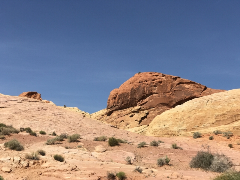 Большие города . Запад и Восток США