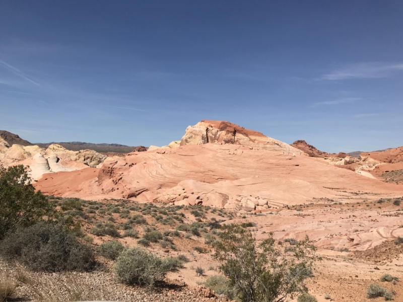 Большие города . Запад и Восток США