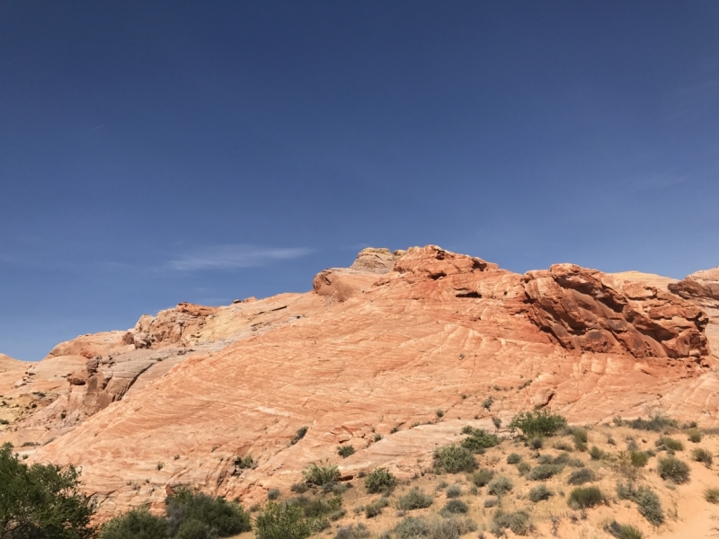 Большие города . Запад и Восток США