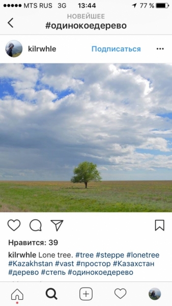 Поиск одинокого дерева в Москве и Подмосковье