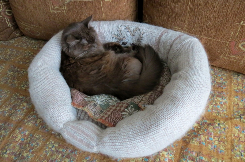 Кошки в нашей жизни. Кошки и все, что с ними связано.