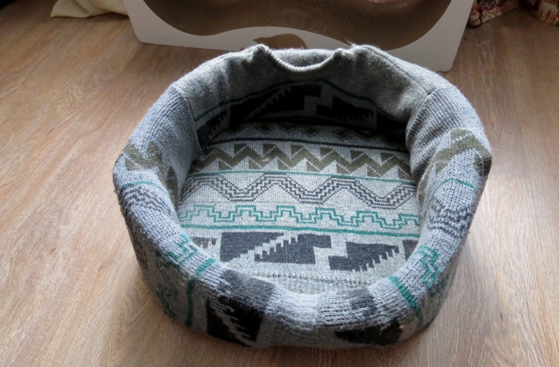 Кошки в нашей жизни. Кошки и все, что с ними связано.