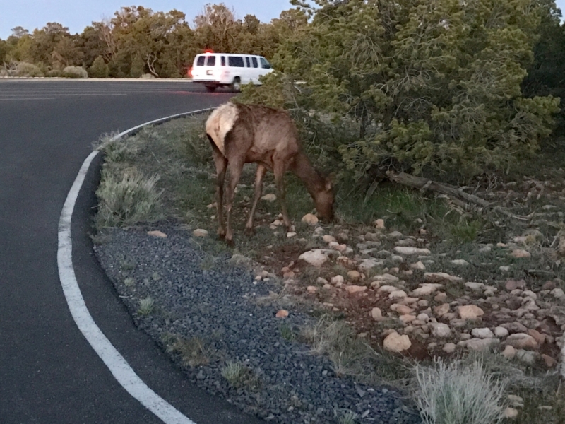 Большие города . Запад и Восток США