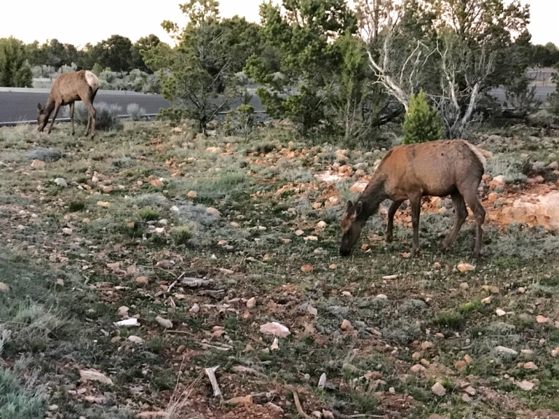 Большие города . Запад и Восток США