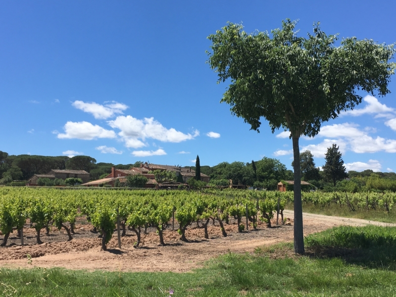 Прованс и Лазурный берег, помогите  с логистикой?