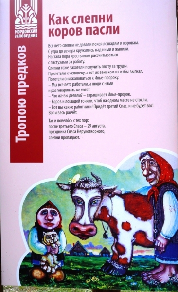 2017,июнь. Опыты по выращиванию туриста. Опыт №8 - Арзамас, Пешелань, Мордовский заповедник, Санаксарь и др.