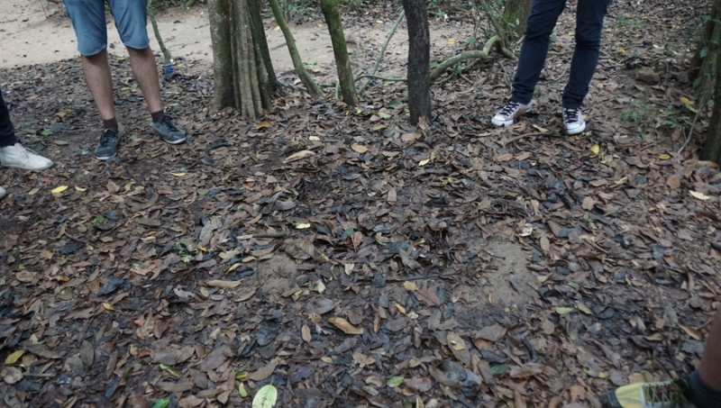 Cu Chi tunnels