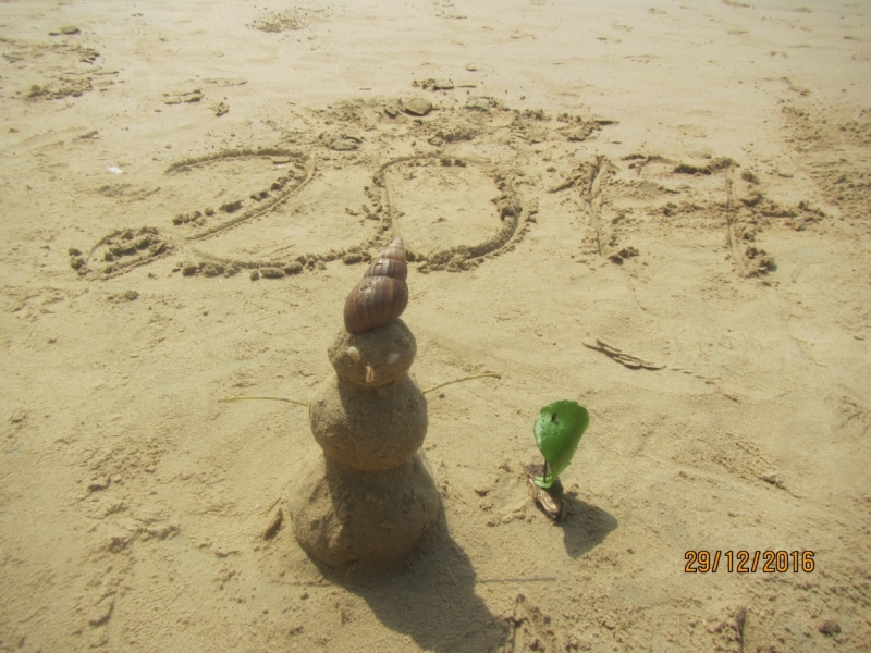 Второй заход. Наш теплый декабрь 2016 (Пхукет, Краби, Бангкок)