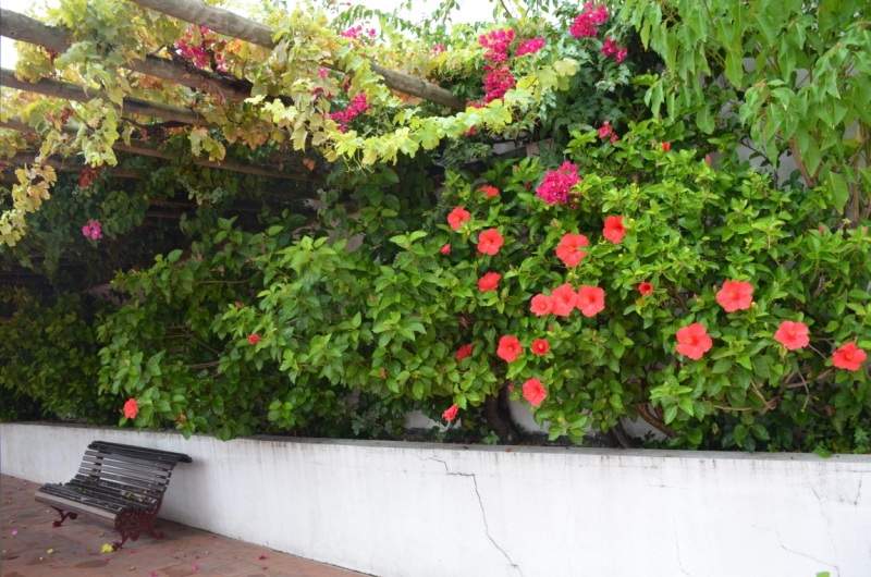 Возвращение в Lisboa (октябрь 2016 с детьми)