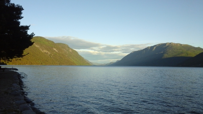 Кошки в нашей жизни. Кошки и все, что с ними связано.