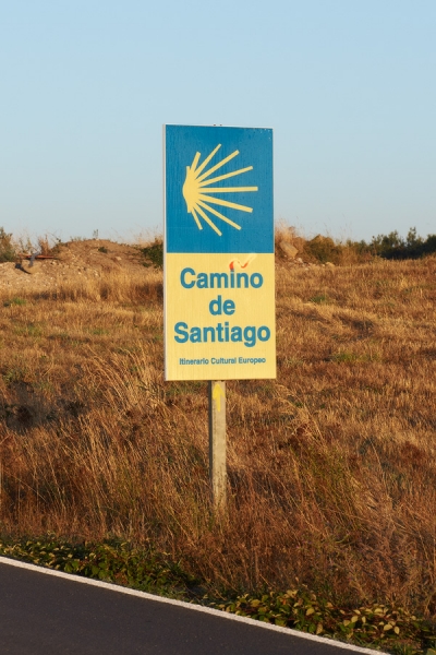Дос чикас русас или 400 км по Камино Санабрес