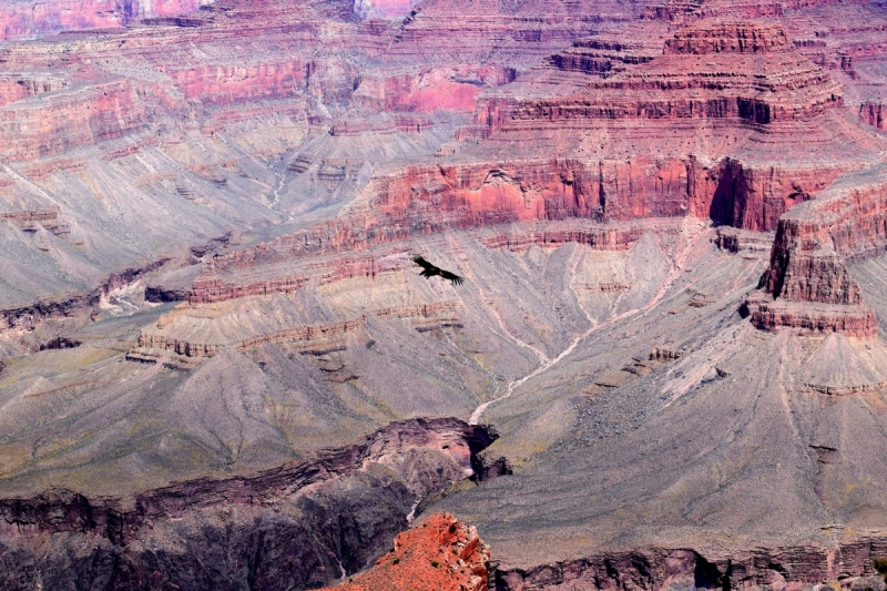 Мечты должны сбываться: частичка запада США за 15 дней