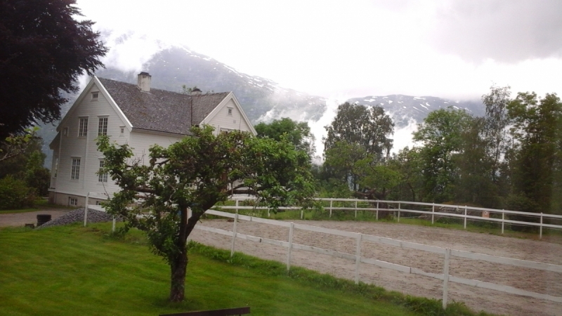 Кошки в нашей жизни. Кошки и все, что с ними связано.