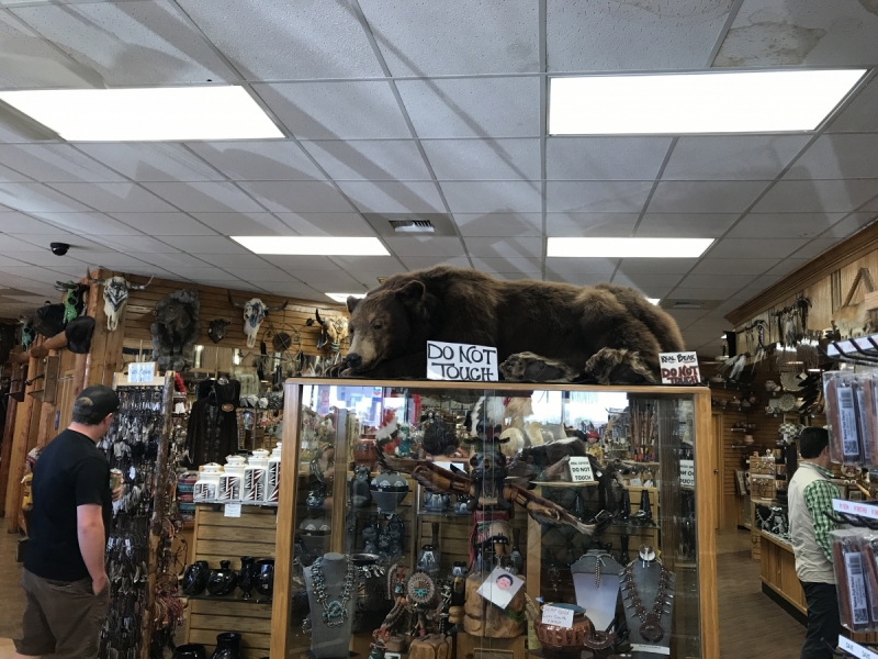 Большие города . Запад и Восток США