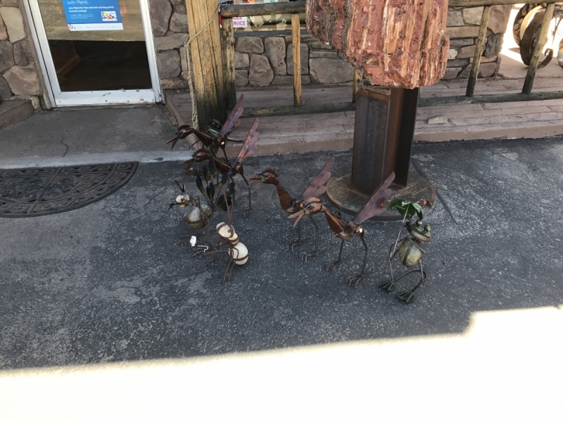 Большие города . Запад и Восток США