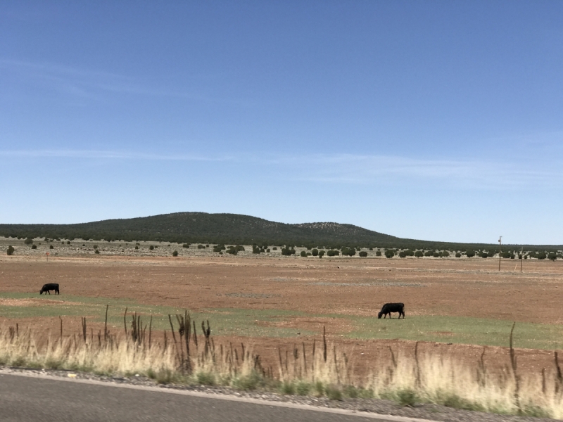 Большие города . Запад и Восток США