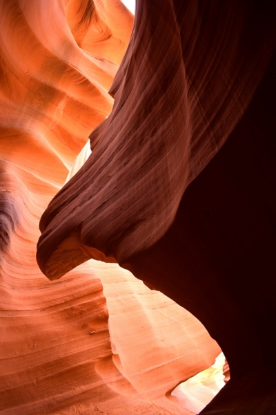 Мечты должны сбываться: частичка запада США за 15 дней