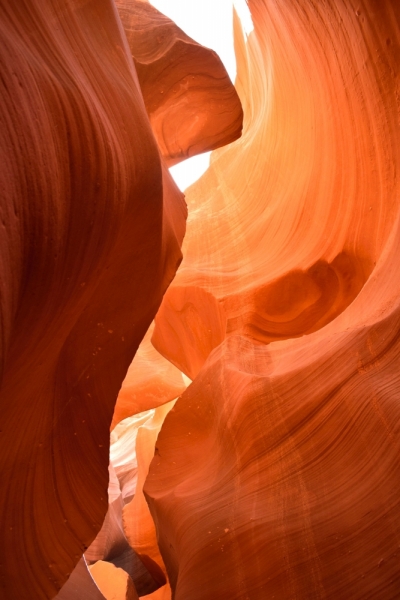 Мечты должны сбываться: частичка запада США за 15 дней