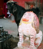 На контрасте.jpg