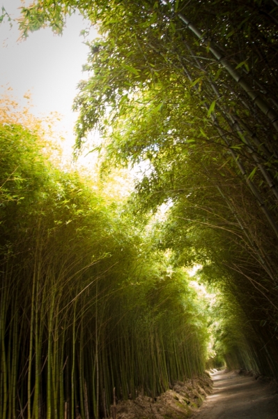 Немного Лиссабона и Ilha de São Miguel - их маленький кусочек рая (апрель 2017)