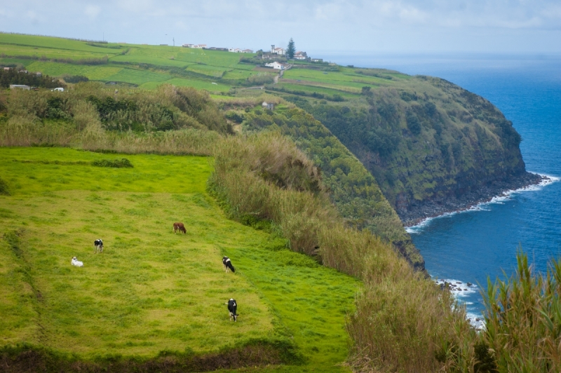 Немного Лиссабона и Ilha de São Miguel - их маленький кусочек рая (апрель 2017)
