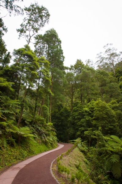 Немного Лиссабона и Ilha de São Miguel - их маленький кусочек рая (апрель 2017)