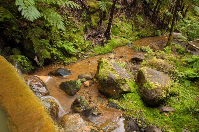 Немного Лиссабона и Ilha de São Miguel - их маленький кусочек рая (апрель 2017)