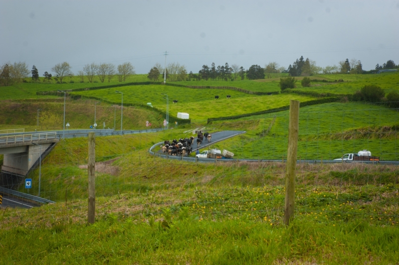 Немного Лиссабона и Ilha de São Miguel - их маленький кусочек рая (апрель 2017)