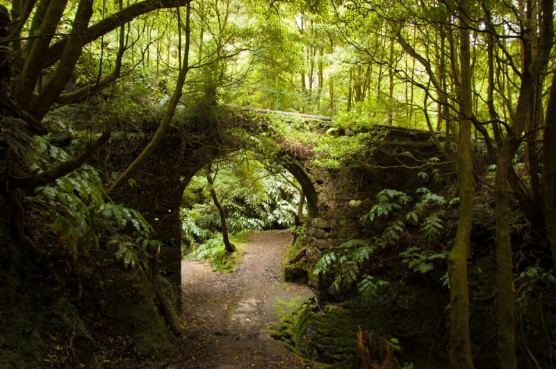 Немного Лиссабона и Ilha de São Miguel - их маленький кусочек рая (апрель 2017)