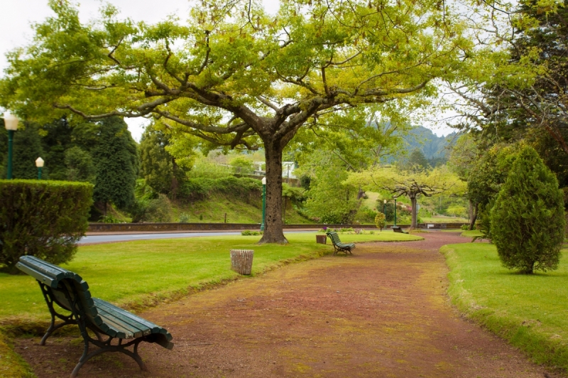 Немного Лиссабона и Ilha de São Miguel - их маленький кусочек рая (апрель 2017)