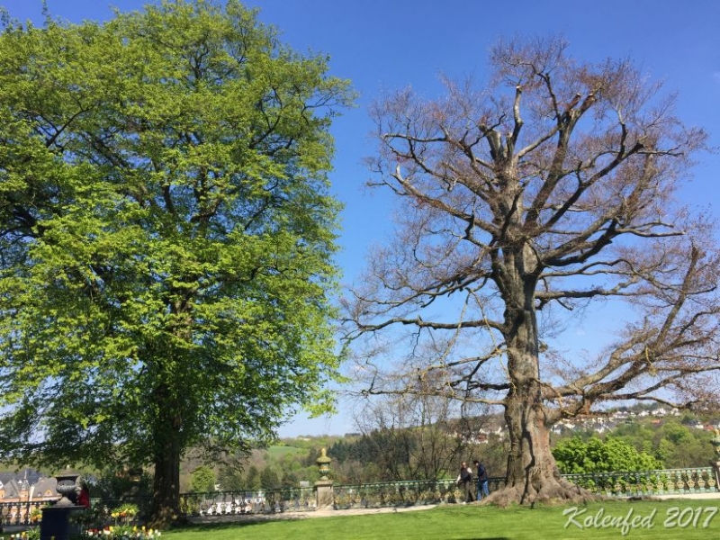 Юбилейный автотрип в Европу – весна 2017, Юбилейный автотрип в Европу – весна 2017,