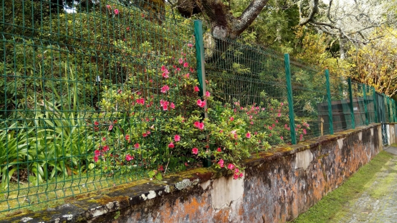 Немного Лиссабона и Ilha de São Miguel - их маленький кусочек рая (апрель 2017)