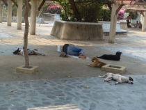 В Петропавловске-Камчатском полноч .JPG