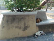 В Петропавловске-Камчатском полноч.JPG