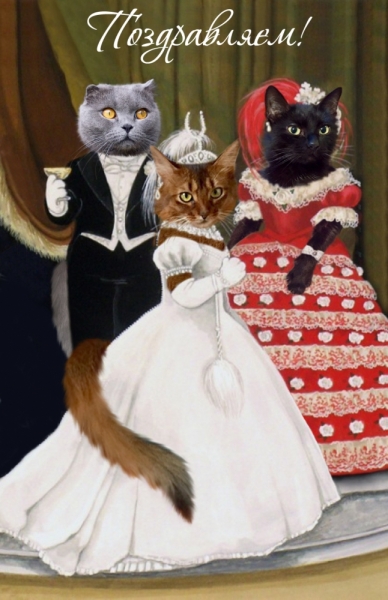 Кошки в нашей жизни. Кошки и все, что с ними связано.