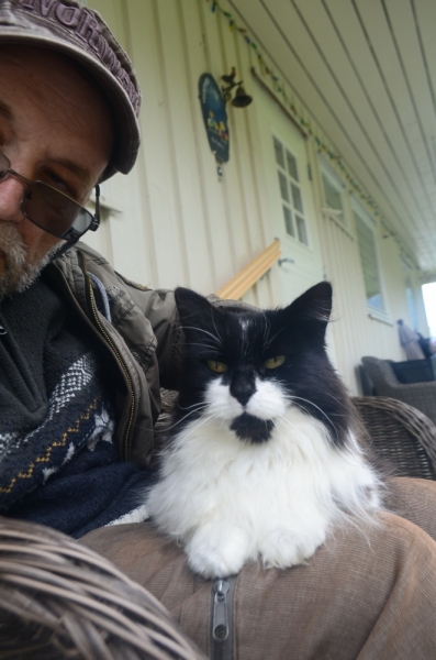 Кошки в нашей жизни. Кошки и все, что с ними связано.