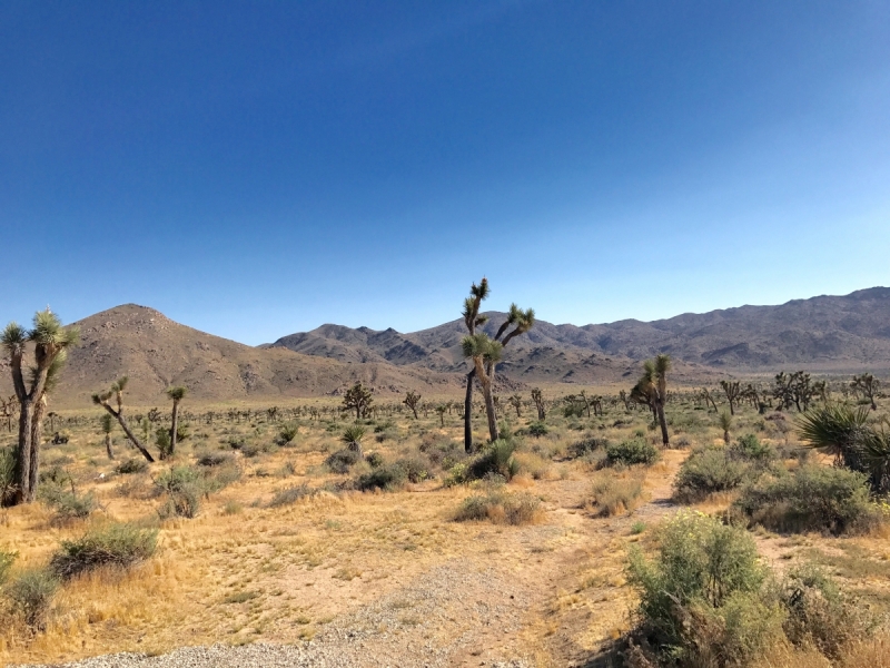 Большие города . Запад и Восток США