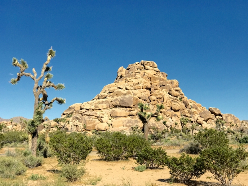 Большие города . Запад и Восток США