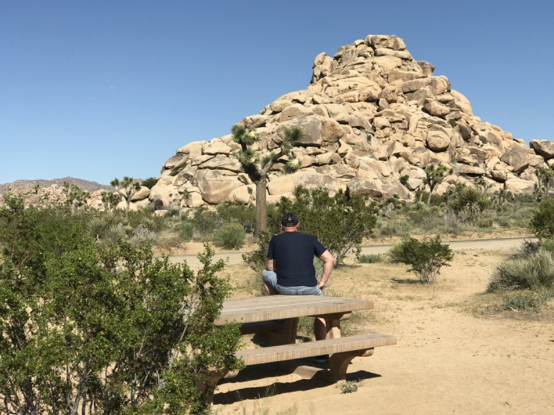 Большие города . Запад и Восток США