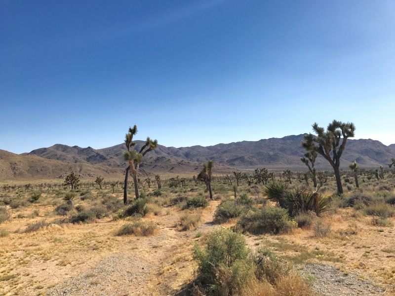 Большие города . Запад и Восток США