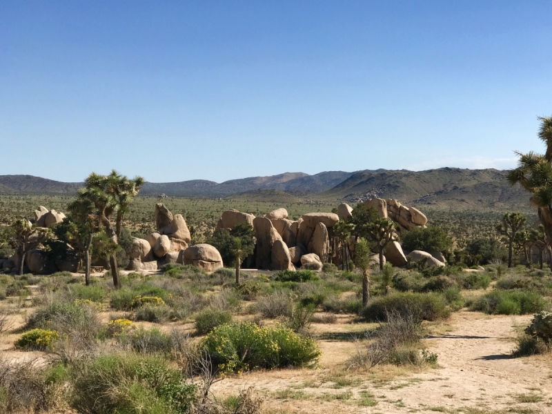 Большие города . Запад и Восток США