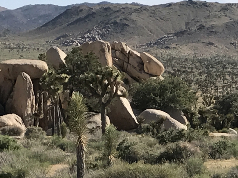 Большие города . Запад и Восток США