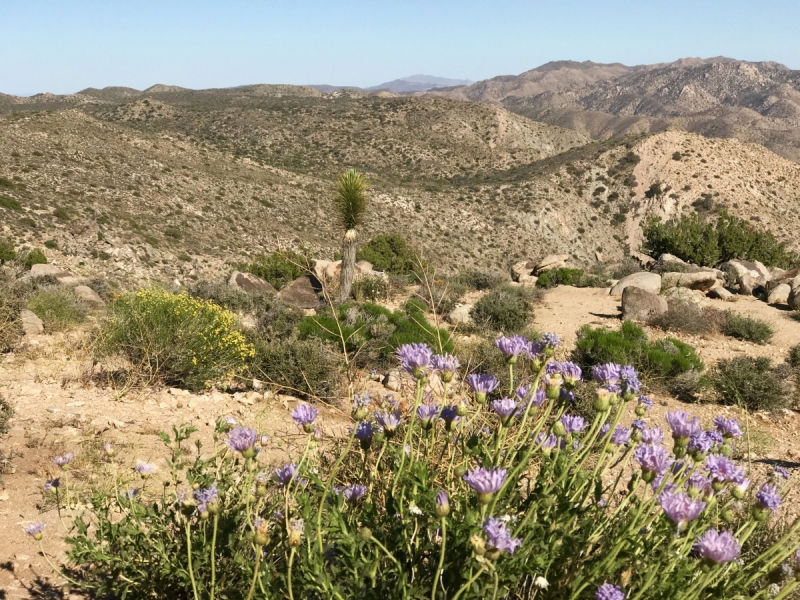 Большие города . Запад и Восток США